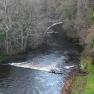 2024-01-05 Ripon-Ayr-Sterling_JAK_4966