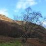 2024-01-06 Sterling-Glen Coe-BroadfordJAK_5055