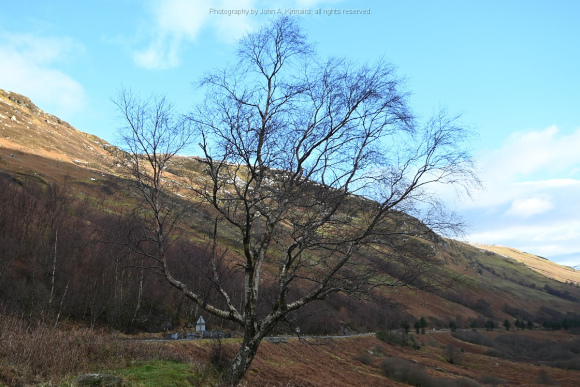 2024-01-06 Sterling-Glen Coe-BroadfordJAK_5057
