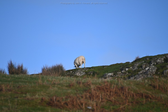 2024-01-07_Isle of Syke_JAK_5170