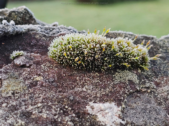 2024-01-07_JAK_Isle of Skye_104916