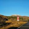 Scotland