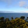 Scotland
