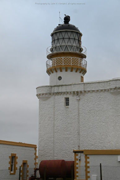 JAK_5376