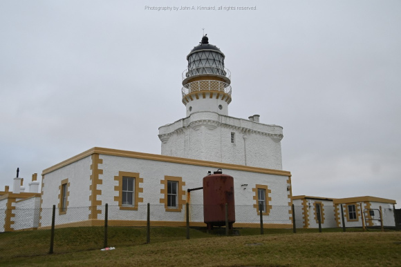 JAK_5384