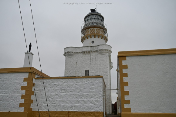 JAK_5386