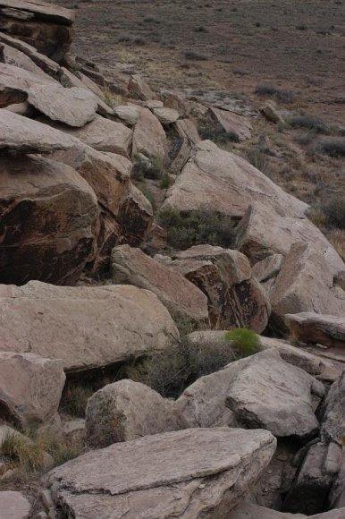 2003-06-17   DSC_1332