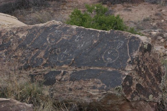 2003-06-17   DSC_1335