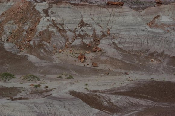 2003-06-17   DSC_1359