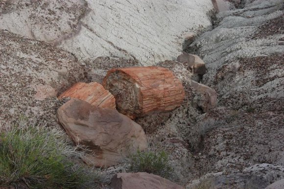 2003-06-17   DSC_1361