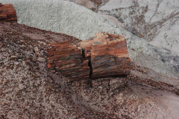 2003-06-17   DSC_1365