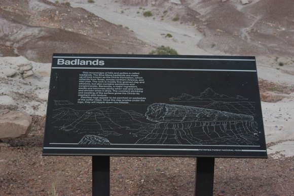 2003-06-17   DSC_1367