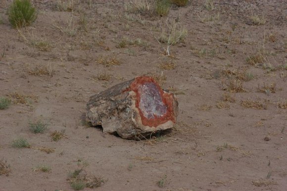 2003-06-17   DSC_1369