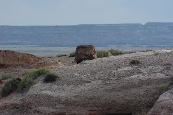 2003-06-17   DSC_1382