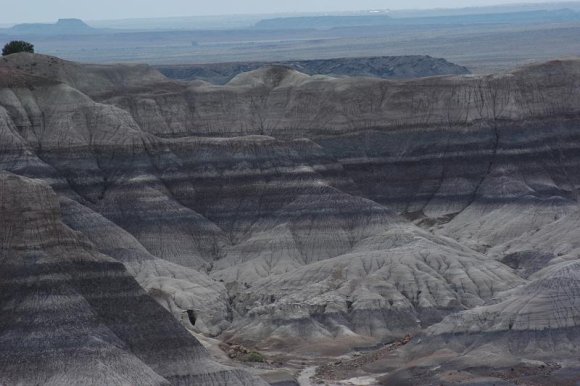 2003-06-17   DSC_1393