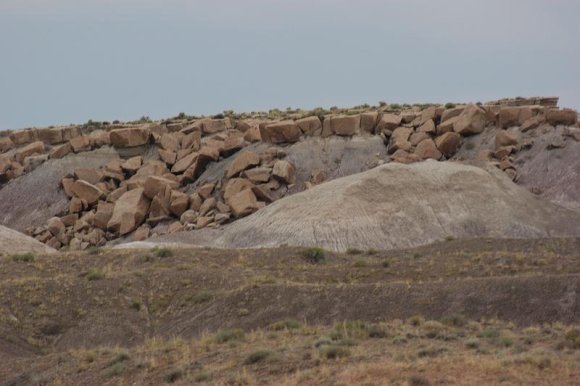 2003-06-17   DSC_1407